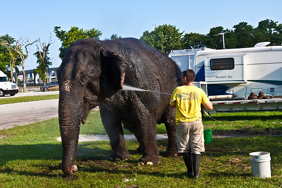42586_Miami_Brickell_Circus_FL_20080816_IMG_3874