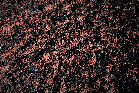 06790_B10_SL_COLOR_CANYONLAND_NAT_PARK_UT_97_05.jpg
