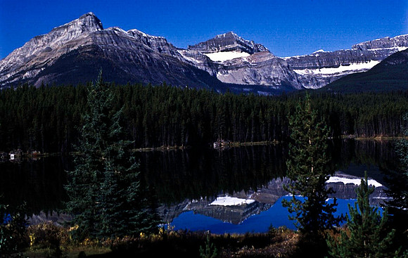 06827_B19_SL_COLOR_LAKE_LOUIS_TO_JASPER_HWY93_BANFF_NAT_PARK_WS_97_10.jpg