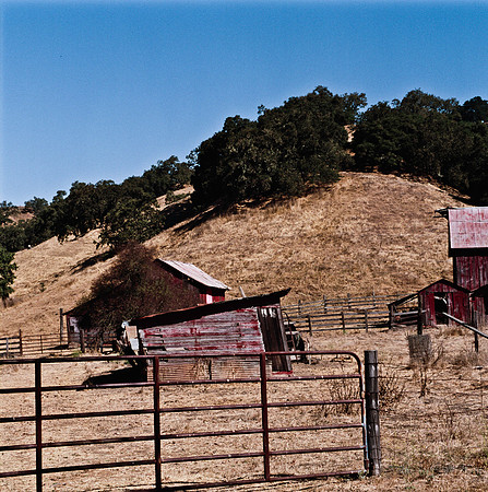 6035_FILM_COLOR_SAN_LOUIS_05_USA_CA_10.jpg