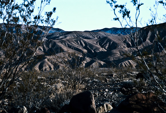 47924_B17_SL_COLOR_LOS_ANGELES_CA_97_03.jpg