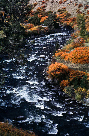 47653_B11_SL_COLOR_ENTRANCE_YELLOWSTONE_WY_97_02.jpg