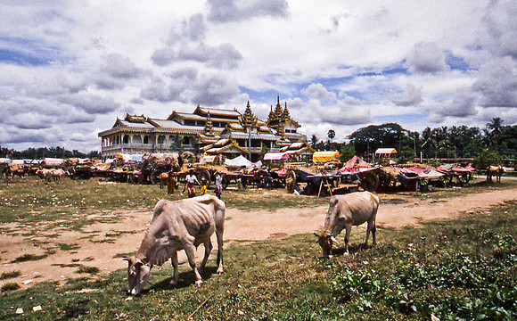 3485_SL_COLOR_AROUND_THE_WORLD_IN_8_MONTHS_APRIL_2000_4