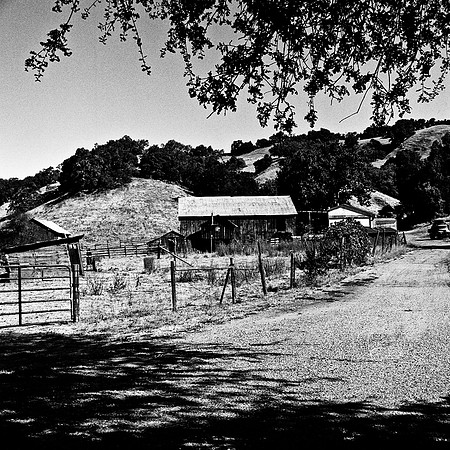 6036_FM_BW_PASO_ROBLES_CA_05_8.jpg