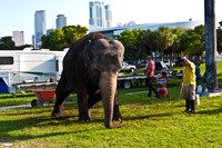 42588_Circus_Miami__Park__IMG_6353