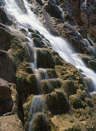 4000_20080719_ADS_Mexican_Landscape_Mexico_147