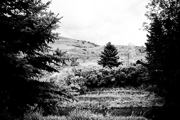 0019_Aspen_To_Jackson_Hole_Wyoming_5L8Y7097