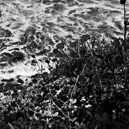 6039_FM_BW_NAPA_AND_PACIFIC_CA_05_1.jpg