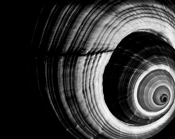 42425_FM_4X5_BW_GIANT_TUM_FL_04_09.jpg
