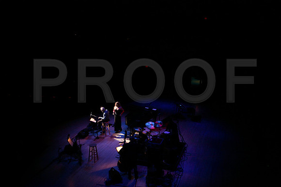 Jazz_Roots_Bosanova_12_12_2008_ZV4N0599