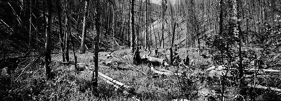 7551_FM_BW_XPAND_AZ_01_5.jpg