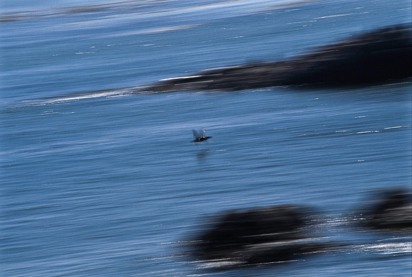 47935_B17_SL_COLOR_COAST_SAN_SIMEON_AND_UP_CA_97_13.jpg