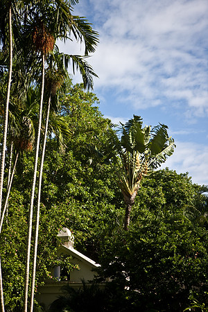 0042_DG_Fisher_Island_Miami_FL5L8Y1836