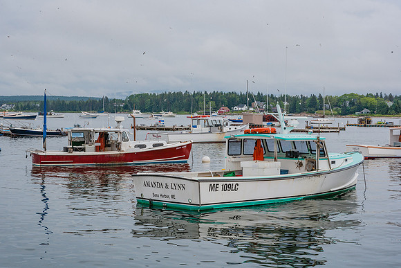 20060627_Maine_ZV4N0930