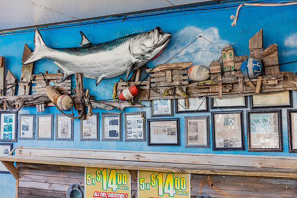 20160711_Key_West_075A0082