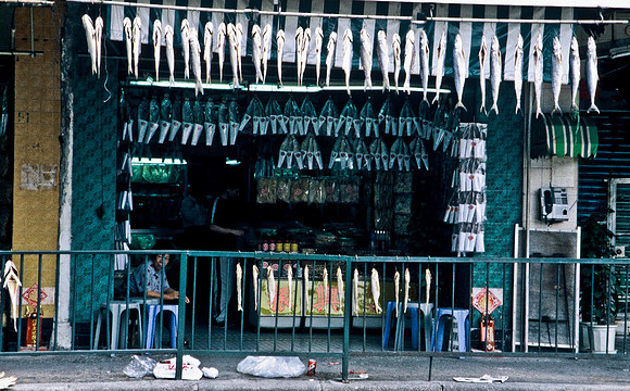 3776_SL_COLOR_AROUND_THE_WORLD_IN_8_MONTHS_APRIL_2000_2