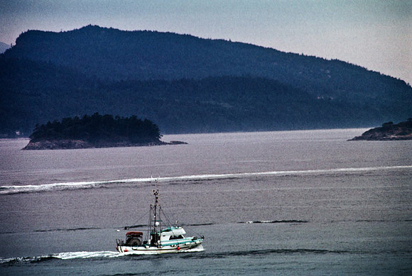 2547_SL_BOX_I_COLOR_OVKA_VICTORIA_CANADA_10