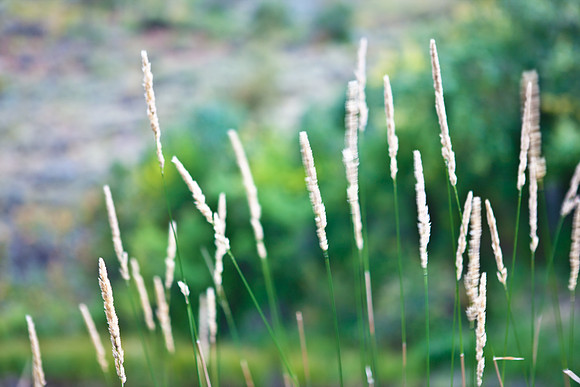 0019_Aspen_To_Jackson_Hole_Wyoming_5L8Y7119