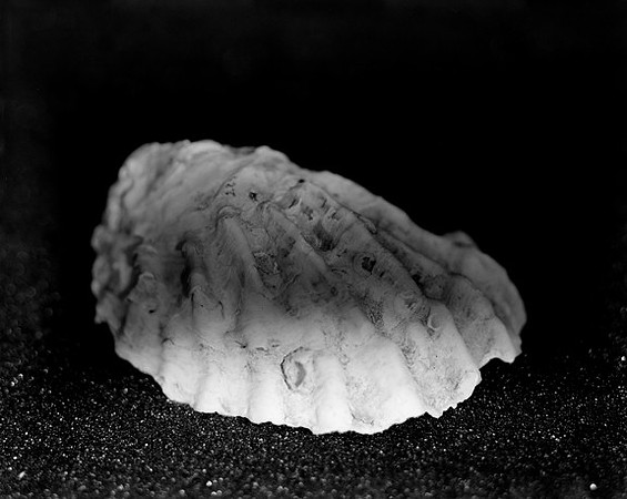 Intitled_42438_A