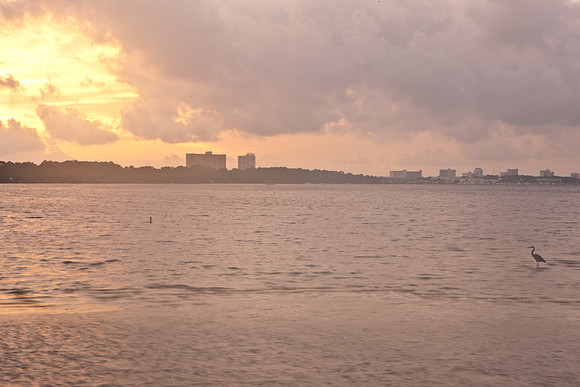 0036-NEW_ORLEANS_TO_PANAMA_CITY_BEACH_0036_DG_Panama_City_Beach_Florida_USA_2009_5L8Y1322