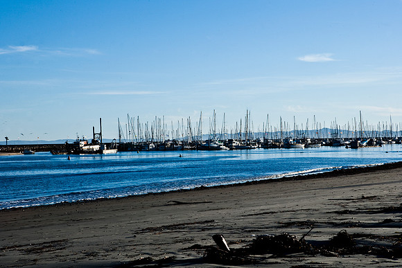 36411_DG_CALIFORNIA_USA_2007_ZV4N_0867