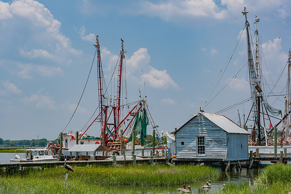 20060702_South_Carolina_ZV4N292