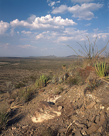 4000_20080719_ADS_Mexican_Landscape_Mexico_172