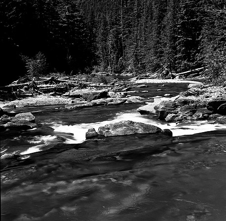 36098_BW_SQ_GLACIER_NP_MT_2003_11.jpg