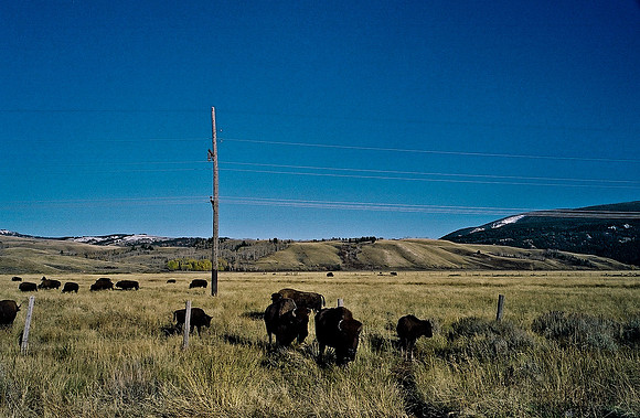 6087_FM_COLOR_ASPEN_TO_INDEPENDENT_CO_05_18.jpg