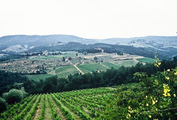 37339_SL_COLOR_ITALY_2000_7