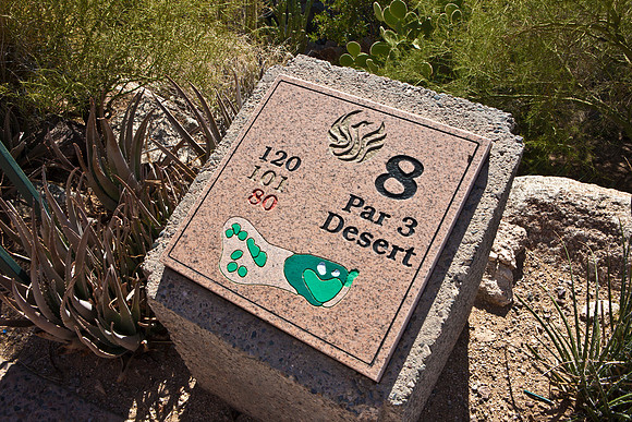 0031_La_Arizona_5L8Y5460