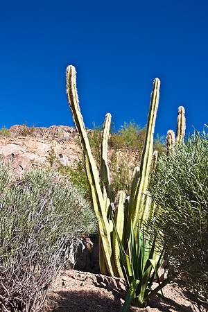 0031_La_Arizona_5L8Y5213