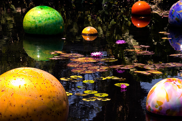 84775_DSC_0099_Fairchild_Garden_Miami_FL_USA