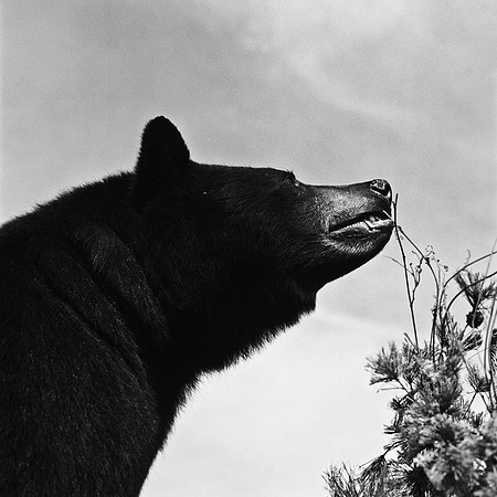 6096_FM_BW_INDEPENDENCE_CO_05_10.jpg