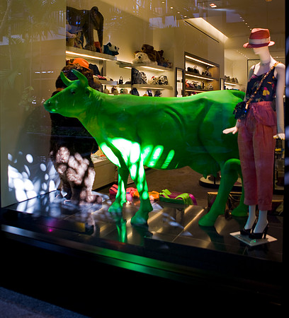 3094_DG_Shops_Bal_Harbour_Miami_FL_5L8Y6342