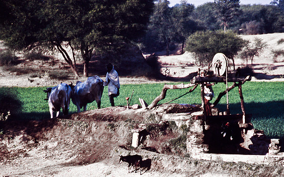 47300_SL_COLOR_INDIA_1987_13