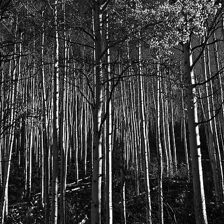 6098_FM_BW_INDEPENDENCE_CO_05_11.jpg