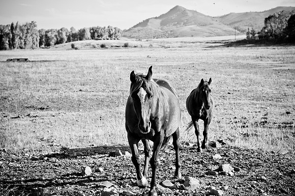 0020_Wyonming_To_Ketchem_Sun_Valley_ID_5L8Y7436