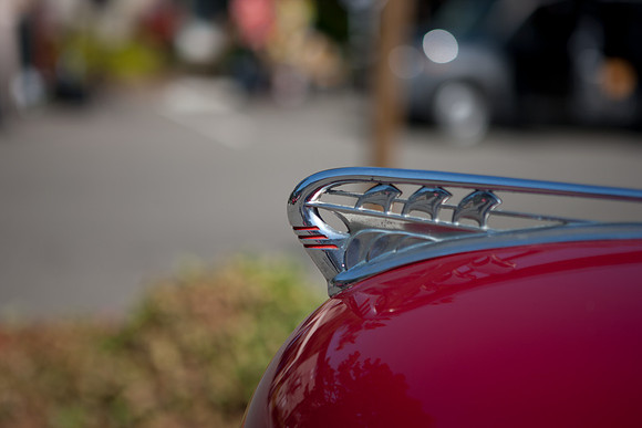 0026_DG_Mill_Valley_CA_USA_2009_5L8Y1875