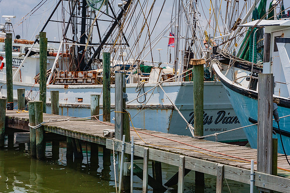 20060702_South_Carolina_ZV4N299