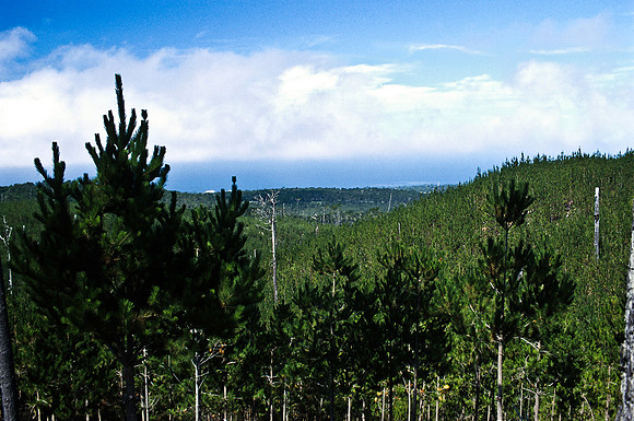 47938_B17_SL_COLOR_17M_DRIVE_CA_97_ CARMEL_CA_97_09.jpg