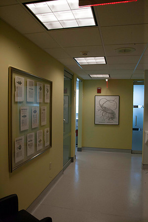 20040418_Jeff_Blum_Dental_Mount_Sinai_Miami_FL4995