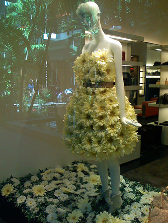 20070929-IMG_0058