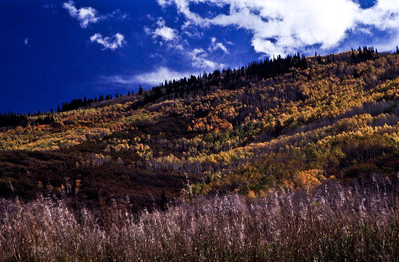 06765_B10_SL_COLOR_VERNAL_DINOSAUR_NAT_MNT_UT_97_1637.jpg