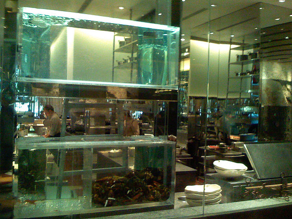20071227-IMG_0311