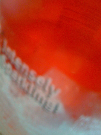 20080406-IMG_0482