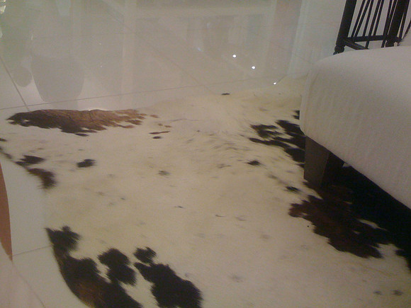 20080406-IMG_0489