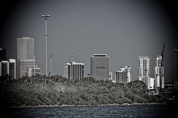 3800_DG_Port_Miami_FL_5L8Y4834-2