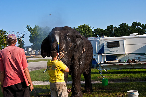42586_Miami_Brickell_Circus_FL_20080816_IMG_3879