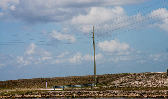 2527_EVERGLADES_MIAMI_FLORIDA_AOM_20090315__A0M1194